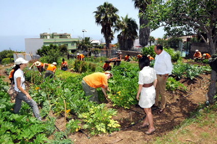Vreți să învățați cum se face agricultură ecologică? - vretisainvatati-1412182009.jpg