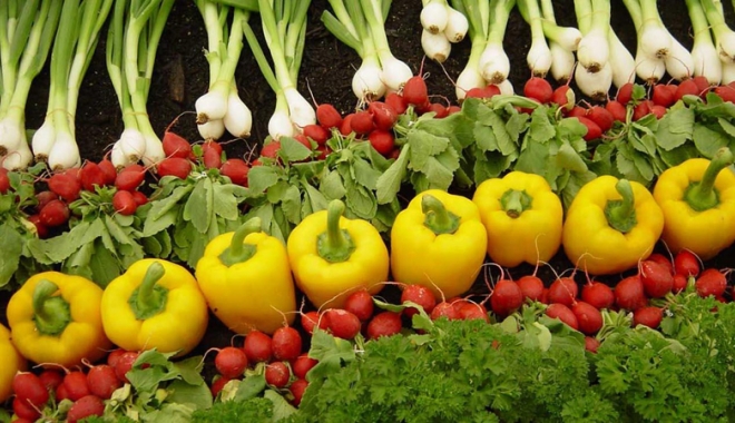 Vreți să învățați cum se face agricultură ecologică? - vretisainvatati-1511188137.jpg
