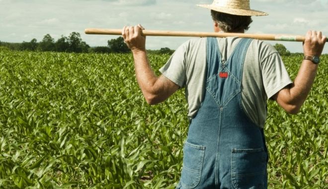 Vreți un teren agricol? Iată ce oferte și prețuri sunt în piață! - vretiunterenagricol-1554772226.jpg