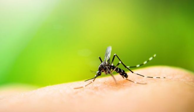 Bilanț ALARMANT. 38 de decese cauzate de virusul West Nile, peste 200 de cazuri de meningite - west-1539271363.jpg
