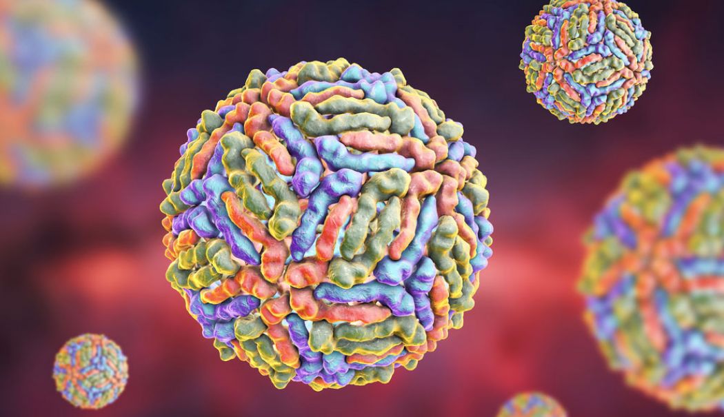 INSP: Două cazuri de infecţie cu virusul West Nile - westnilevirus-1722602679.jpg