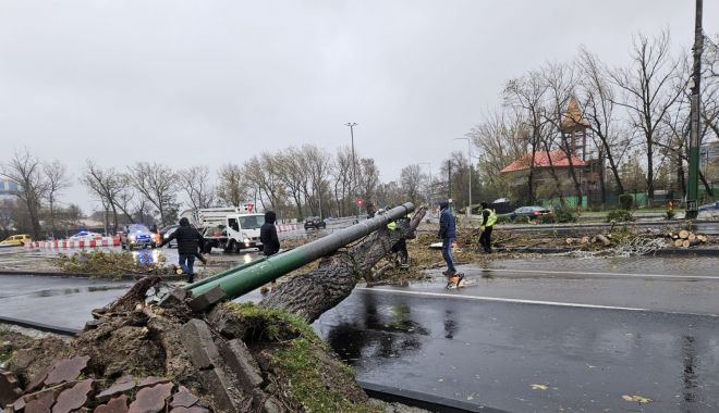 Alimentarea cu energie electrică din mai multe județe, afectată de condițiile meteo - whatsapp-image-20231126-at-11554-1700992563.jpeg