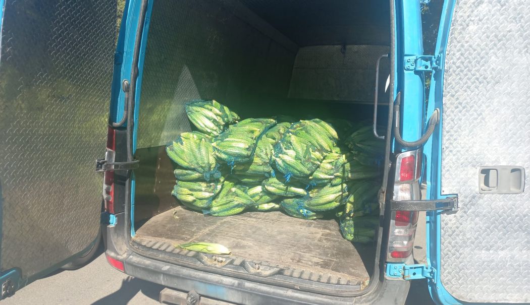 Vânzătorii ambulanți de pe litoral au fost sancționați. Ce amenzi au primit aceștia - whatsapp-image-20240810-at-12100-1723371283.jpeg
