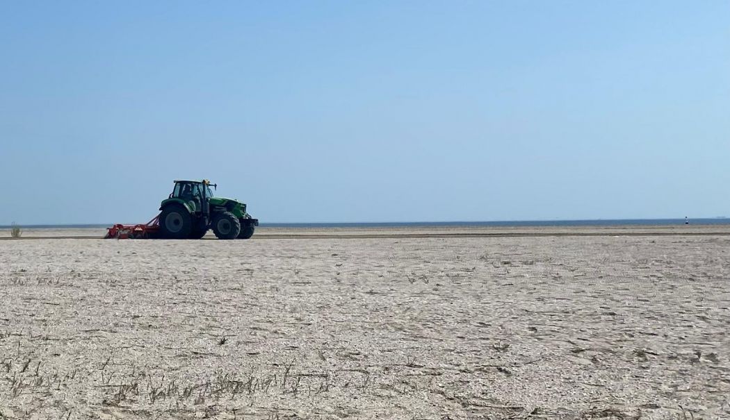 Plajele, pregătite pentru sezonul estival: peste 260 de sectoare predate operatorilor economici - whatsapp-image-20250501-at-12445-1746092788.jpeg