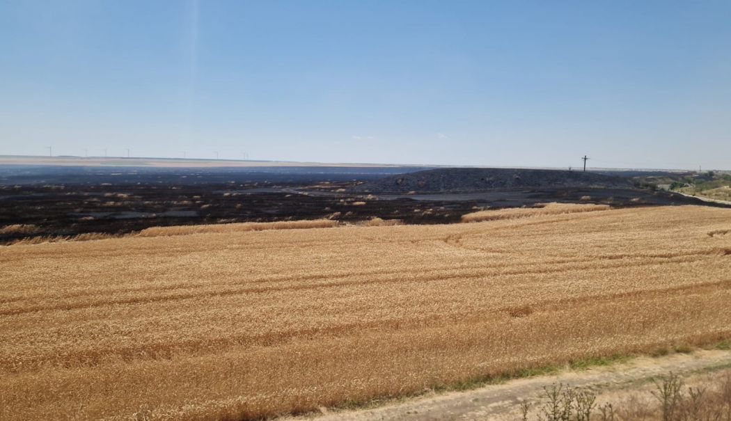 Incendiu de vegetație uscată, în județul Constanța! - whatsapp-image-20250626-at-13220-1752476290.jpeg