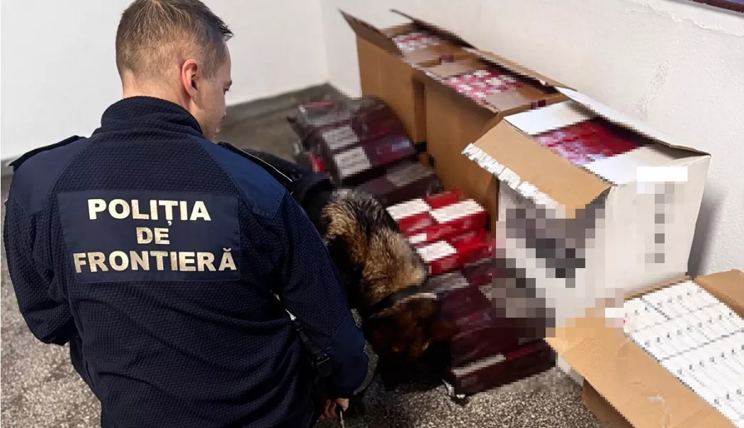 Captură uriașă în Portul Constanța. Mii de pachete de țigări ascunse pe o navă străină