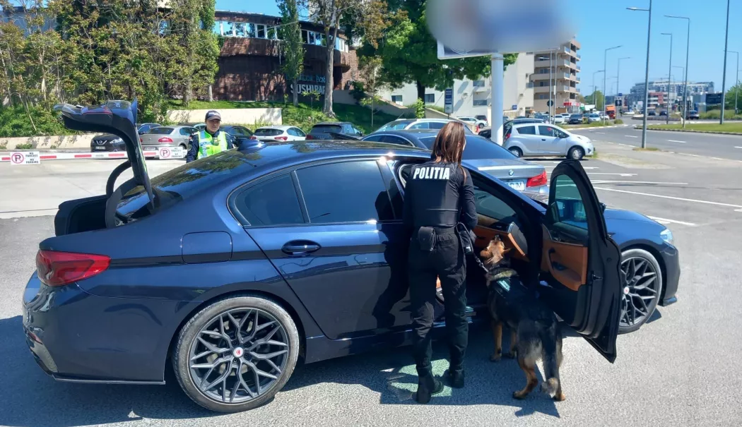 Acțiune cu efective mărite în Năvodari: amenzi, dosar penal și zeci de șoferi verificați