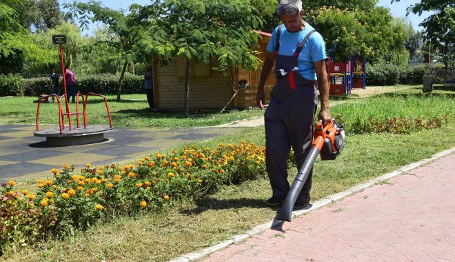 Iarba tunsă din Țara Piticilor ajunge la animalele din Microrezervație! - whatsappimage20190805at0827162-1564989613.jpg