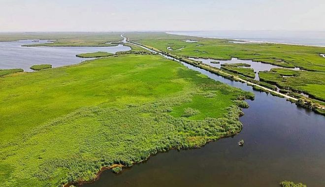 Deputatul Bogdan Bola: “Am solicitat raport de activitate al instituţiilor de control în Rezervaţia Biosfera Delta Dunării” - whatsappimage20210512at010202-1620810555.jpg