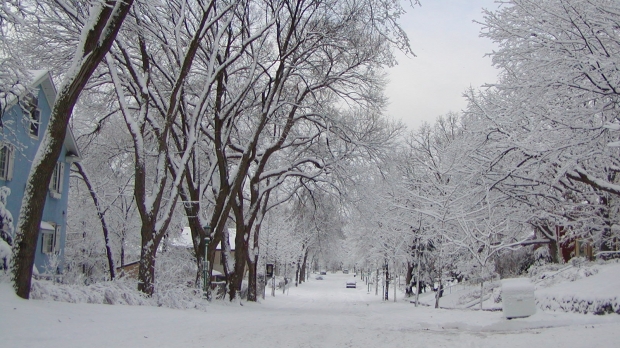 NE AȘTEAPTĂ O IARNĂ CUMPLITĂ! Ce fenomene extreme anunță meteorologii - winter00469400-1574068194.jpg