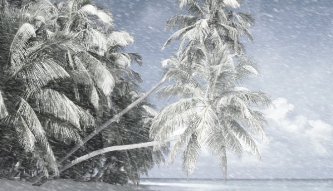 Iarnă în paradis! Stratul de zăpadă a depășit 90 de centimetri în Hawaii - winterparadisebytheproffesional3-1480857510.jpg