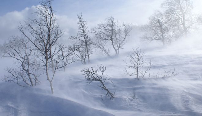 AVERTIZARE ANM: COD GALBEN DE VISCOL! - winterwallpaperssnowstorm0192732-1545825979.jpg