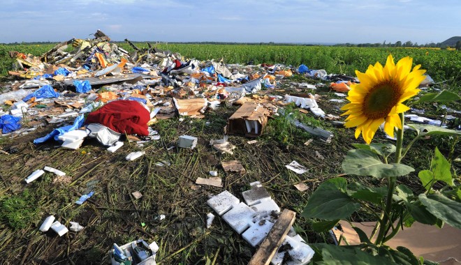 Primul raport după doborârea zborului MH17 în Ucraina: Avionul, lovit de mai multe proiectile - wreckageofmh17inasunflowerfieldd-1410252277.jpg