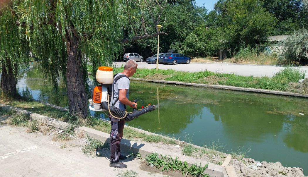 Primăria Constanţa continuă acţiunile de delarvizare şi dezinsecție