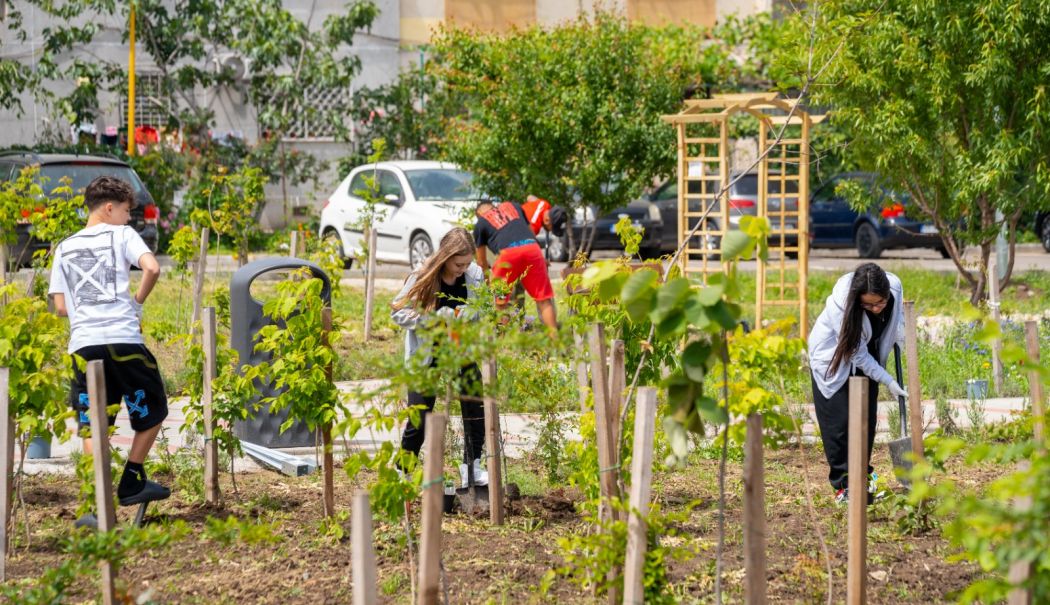 Ateliere de plantat flori perene în cartierul Inel 2 - x-activitati-1716384726.jpeg