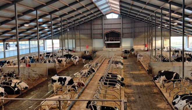 Biosecuritatea în fermele de animale, în atenţia specialiştilor - x-animale-1709730235.jpg