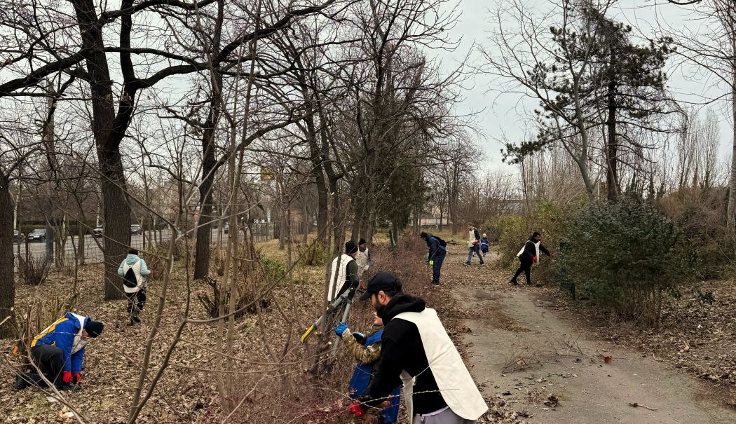 Noi acțiuni de regenerare urbană la Palatul Copiilor Constanța - x-arbori-1741265102.jpg
