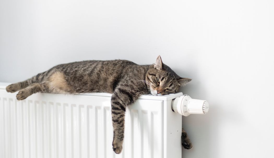 Constanța primește căldură. Termoficare a pornit oficial încălzirea în oraș - x-caldura-1762350082.jpg