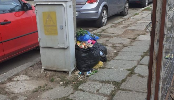 Constănțean amendat pentru că și-a aruncat gunoiul în mijlocul străzii - x-camere-1702040812.jpeg