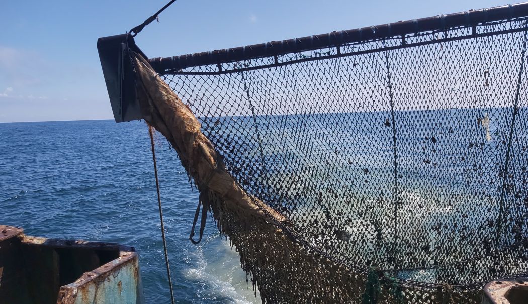 Soluţii pentru scoaterea din Marea Neagră a uneltelor de pescuit fantomă