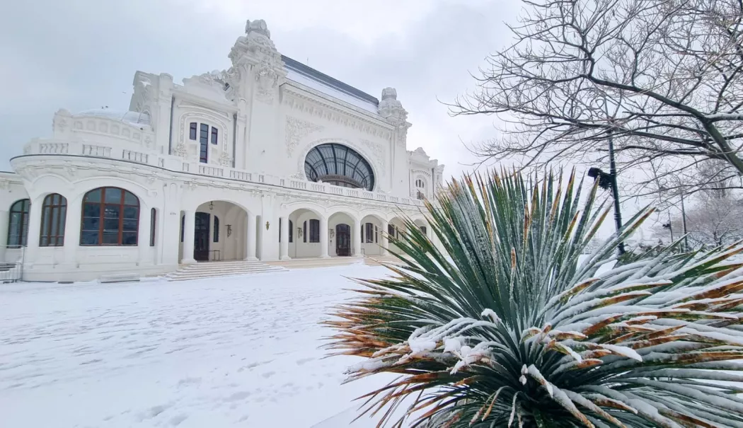 Cazinoul își redeschide porțile în 2026 cu noi evenimente și experiențe culturale - x-cazino-1768395595.webp