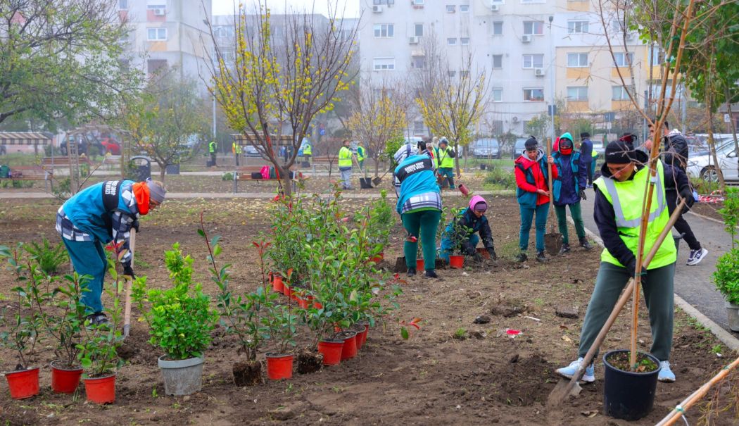 Noi arbori și arbuști ornamentali îmbogățesc peisajul cartierului Inel II