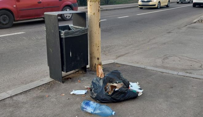 Folosiți coșulețele stradale! Nu mai aruncați gunoaiele la întâmplare! - x-cosulete-1678361691.jpeg