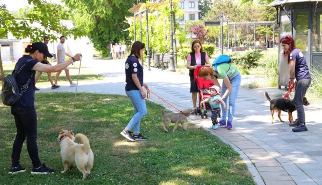 Demersuri pentru găsirea unor familii adoptive pentru câinii comunitari - x-demersuri-1686830073.jpeg