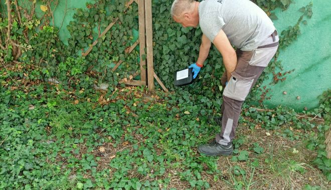 Momeli amplasate împotriva rozătoarelor în toate cartierele Constanţei