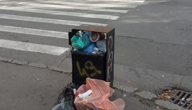 Depozitarea ilegală de deșeuri pe domeniul public, sancționată de polițiștii locali - x-deseuri-1698401093.jpeg