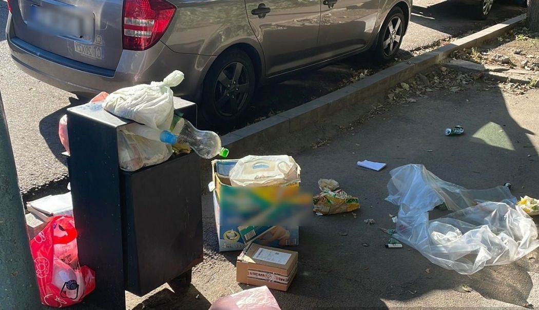 Constănţeni certaţi cu bunul simţ. Nu mai aruncați gunoaiele menajere pe stradă! - x-deseuri-1730376896.jpg
