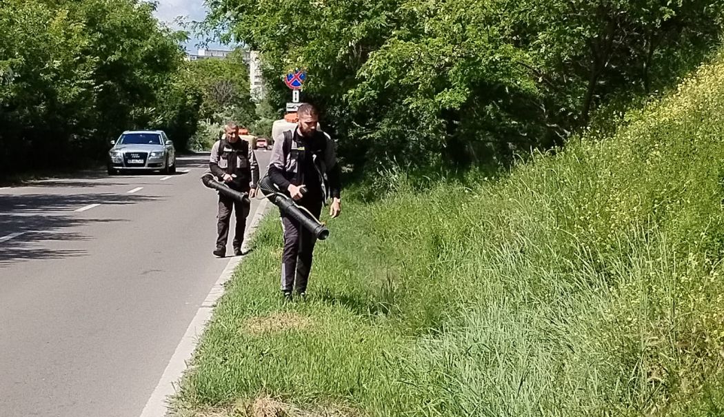 Acțiuni de dezinsecție, deratizare în tot municipiul Constanța - x-dezinsectie-1717414894.jpeg