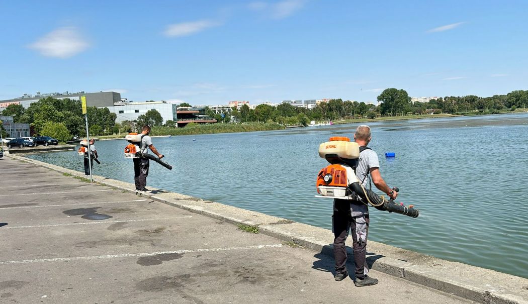 Scăpăm de nesuferitele insecte? Acțiuni de dezinsecție în tot orașul - x-dezinsectie-1723020677.jpeg