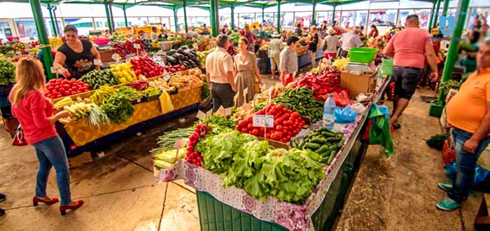 A început curăţenia în pieţele agroalimentare din municipiul Constanţa - x-dezinsectie-1726142412.jpeg