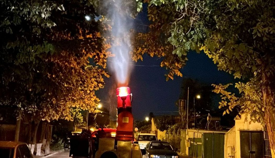Orașul se curăță de insecte: tratamente intensive în parcuri și cartiere