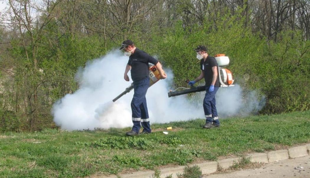 Se intensifică acțiunile de dezinsecție din municipiul Constanța și stațiunea Mamaia - x-dezinsectie-1750844707.jpg