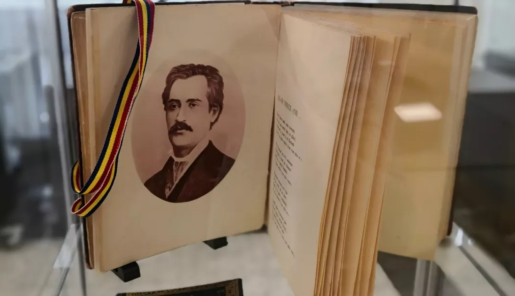 Expoziția „Eminescu și Marea“ poate fi vizitată până în februarie - x-expozitie-1768568338.webp