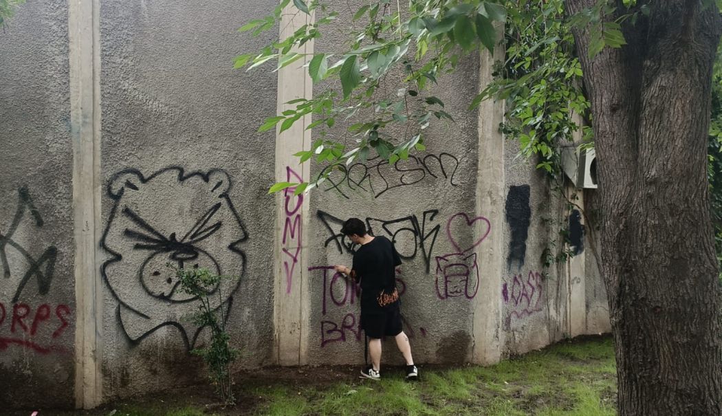 Adolescent prins în timp ce desena graffiti pe pereţii fostului Teatru de vară - x-graffiti-2-1718367165.jpeg
