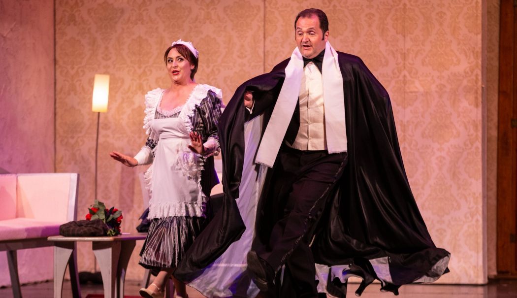 În acest weekend, balet și operetă pe scena Teatrului 