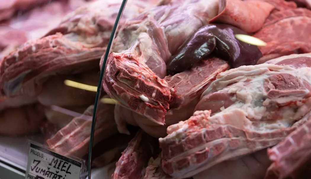 De unde puteți cumpăra carne de miel în Constanța, înainte de Paște - x-miei-1774872263.webp