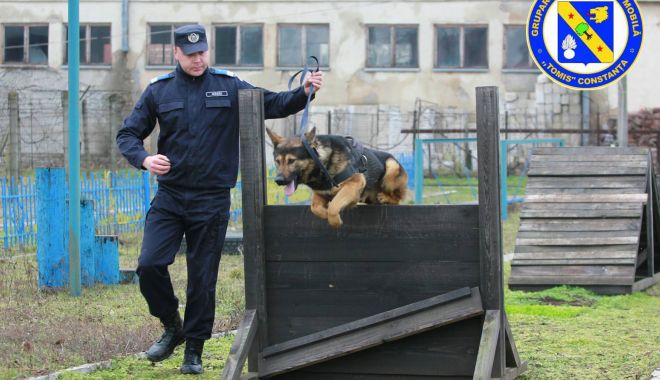 Minivacanţă liniştită, la Constanţa! „Echipajele Jandarmeriei nu s-au confruntat cu incidente majore”
