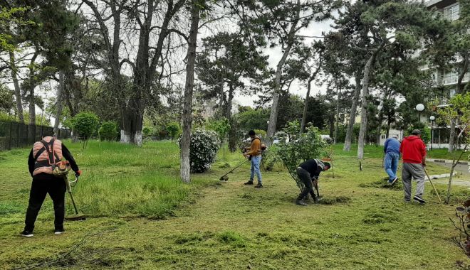 Deținuții de la Poarta Albă au participat la o acțiune de ecologizare în Eforie Sud