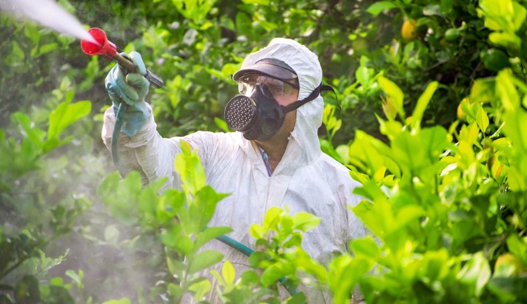 Sute de copii intoxicaţi cu pesticide. Medicii trag un semnal de alarmă - x-pesticide-1725884232.jpg