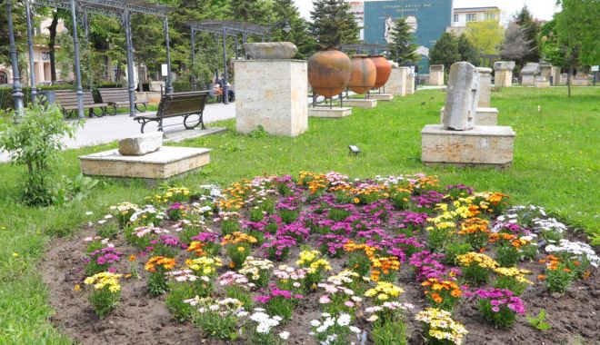Plantările de primăvară continuă în alte zone ale Constanţei - x-petunii-1684324458.jpeg