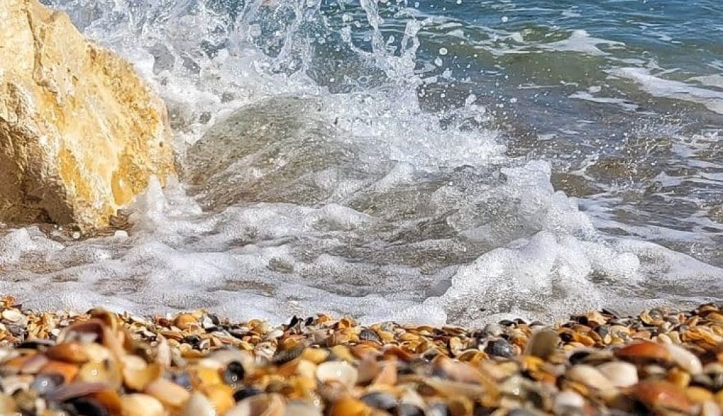 Peste 70 de hectare de plajă au fost închiriate pentru o perioadă de zece ani - x-plaje-1747565180.jpg