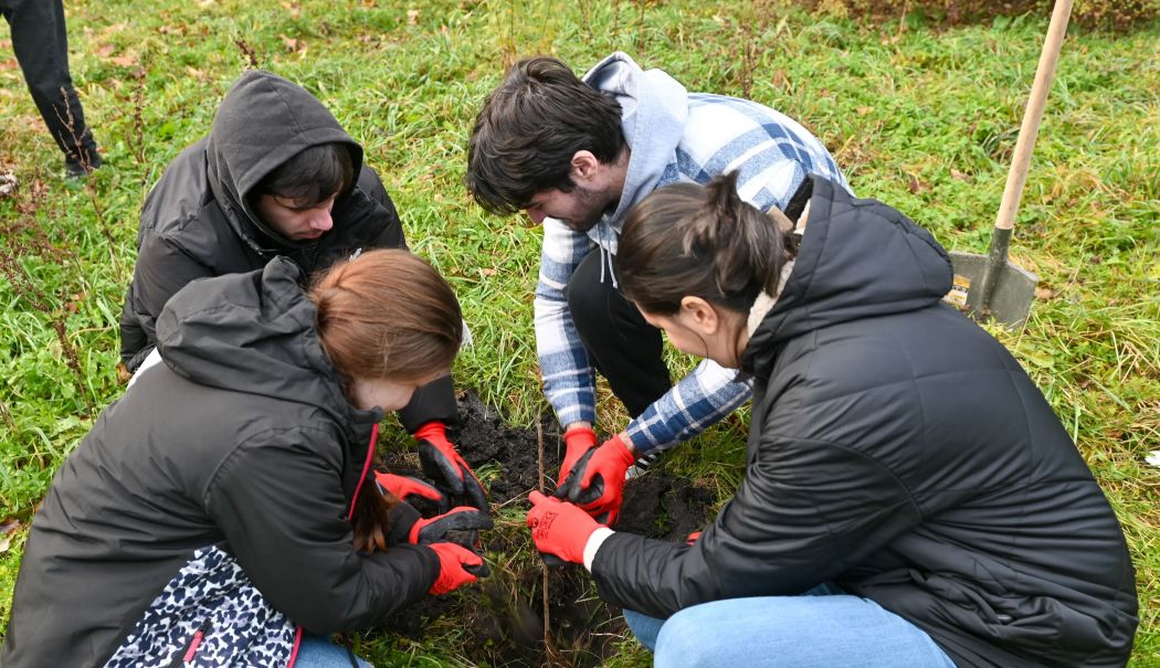 Constănțenii sunt aşteptați să planteze copaci în zona bulevardului Aurel Vlaicu - x-plantare-1733230710.jpg