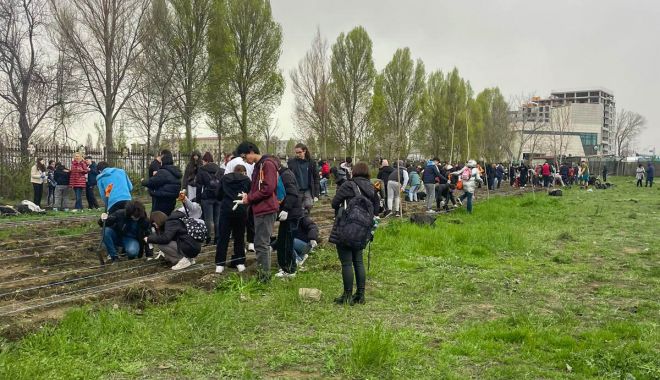 Elevii constănţeni au plantat 2.500 de puieţi de arbori - x-plantari-1711716649.jpg