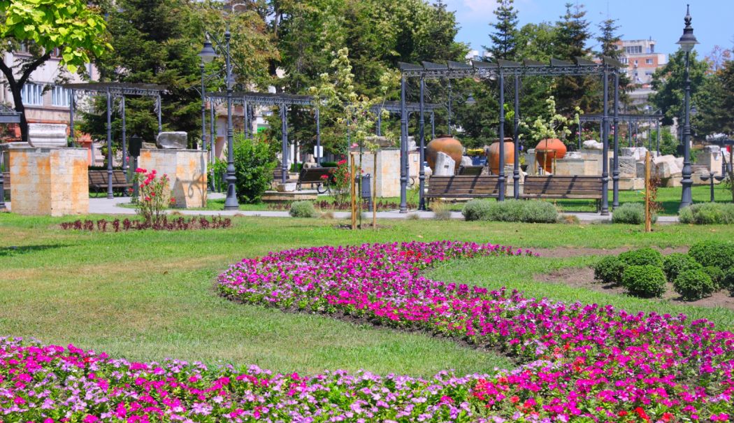 Cartierele constănţene prind culoare. Au fost înfrumusețate cu noi specii de plante