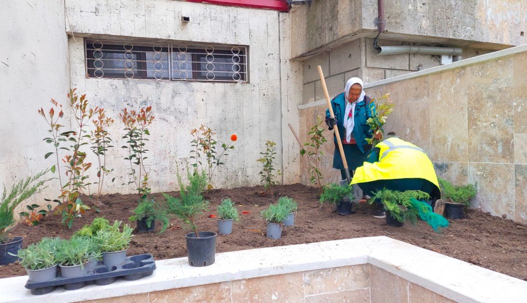 Intersecția dintre bulevardul Mamaia și strada Bucovinei se umple de flori - x-plantari-1743148715.jpeg