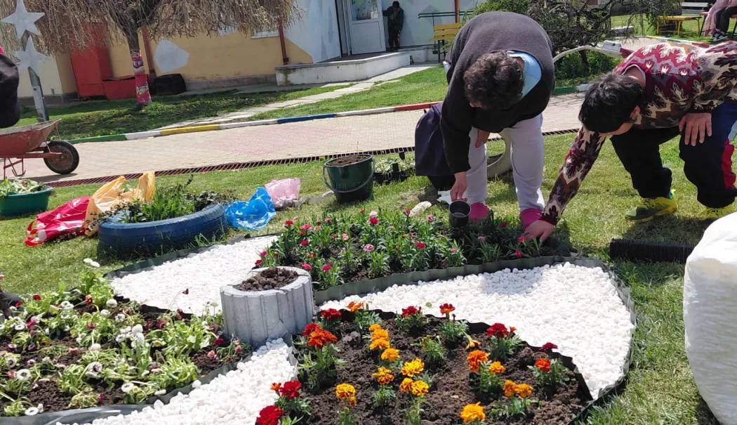 Beneficiarii a trei centre pentru adulți au plantat flori împreună